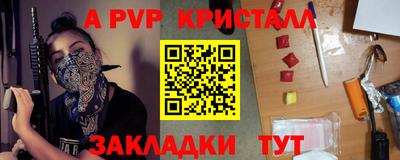 шишки Усть-Илимск